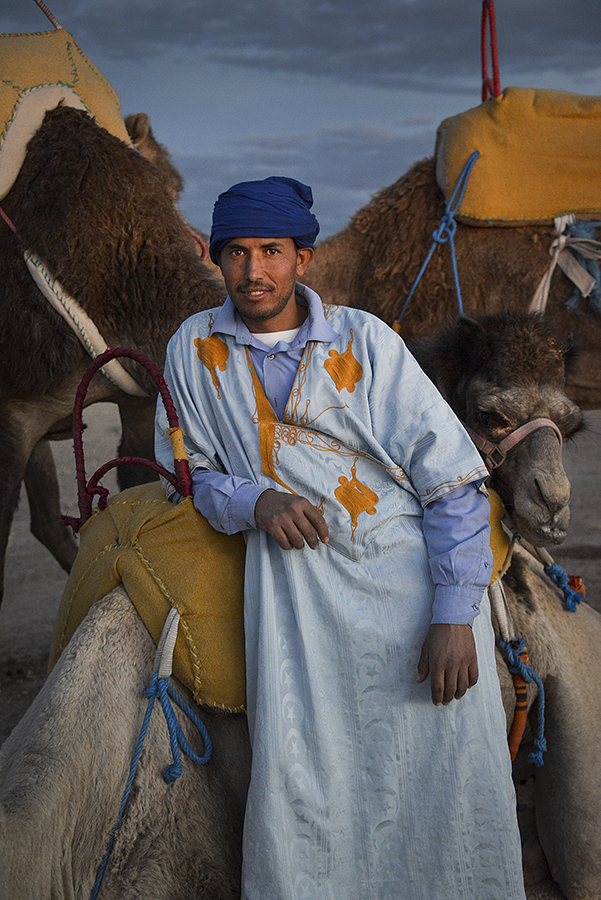Sahara Desert, Camel